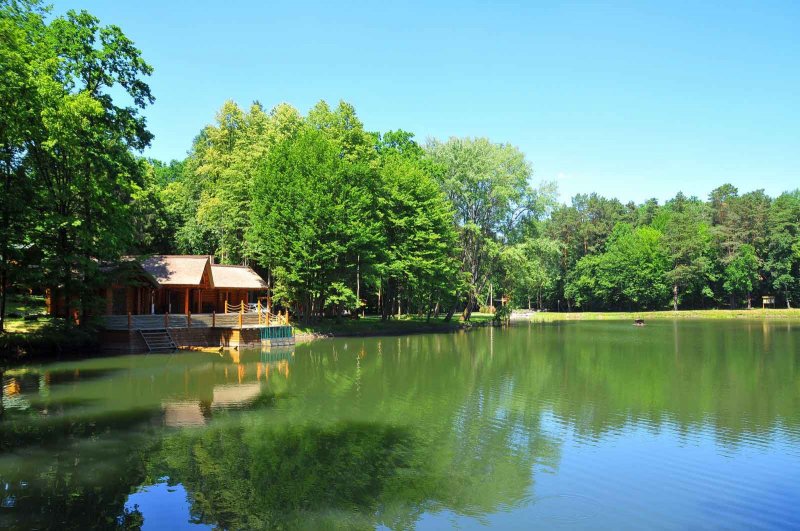 Заказник «Воротнів»