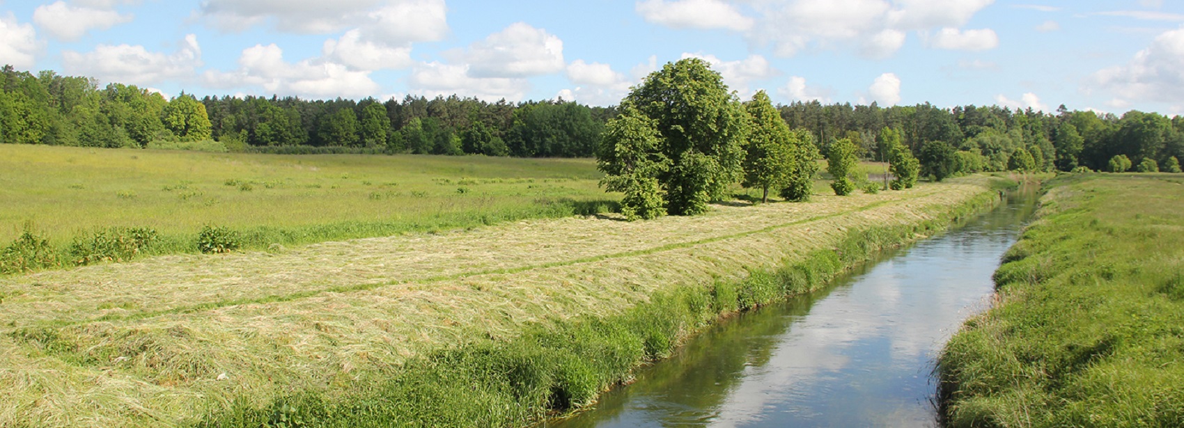 Tsumanska Pushcha National Park