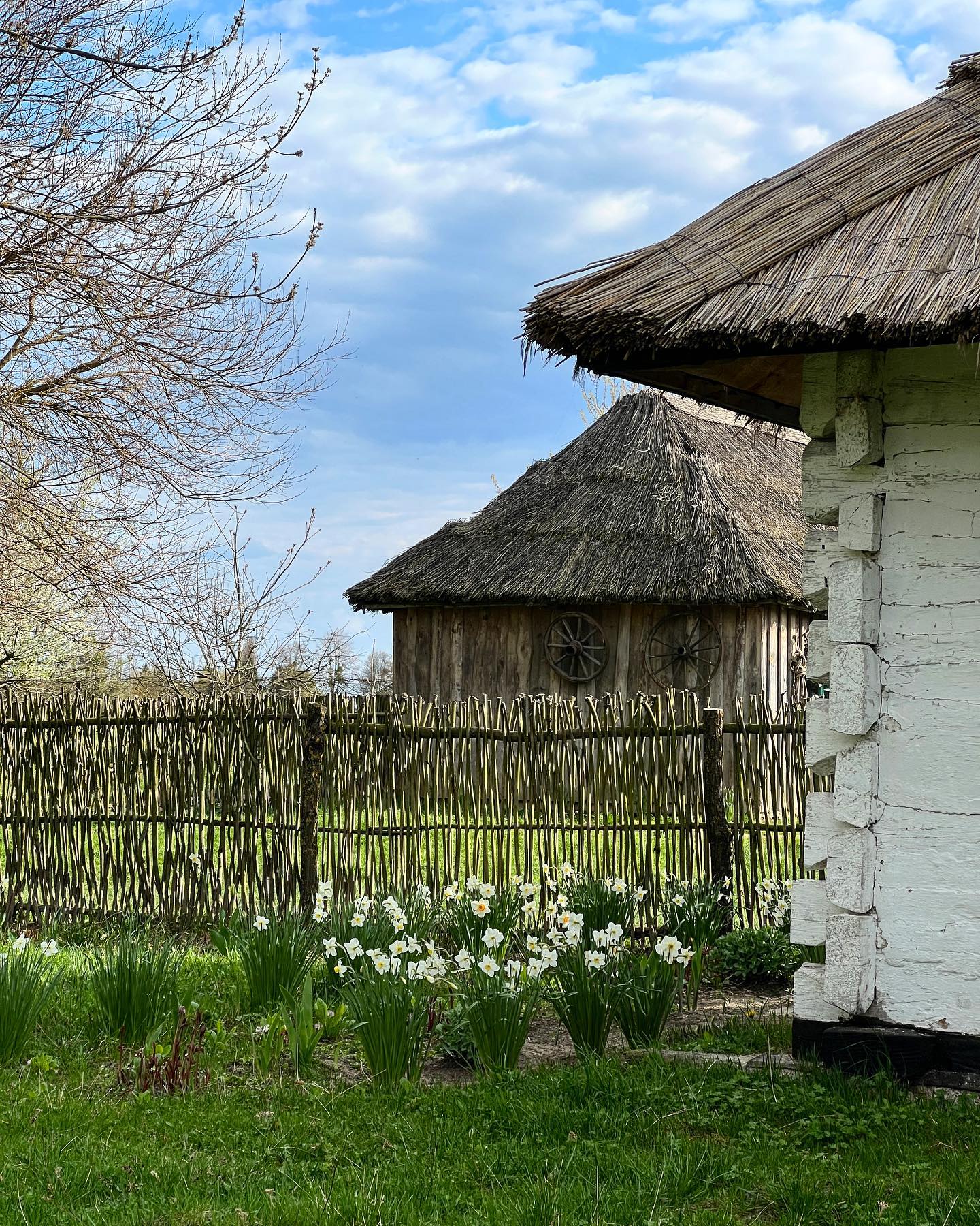 Музей історії сільського господарства Волині-скансен