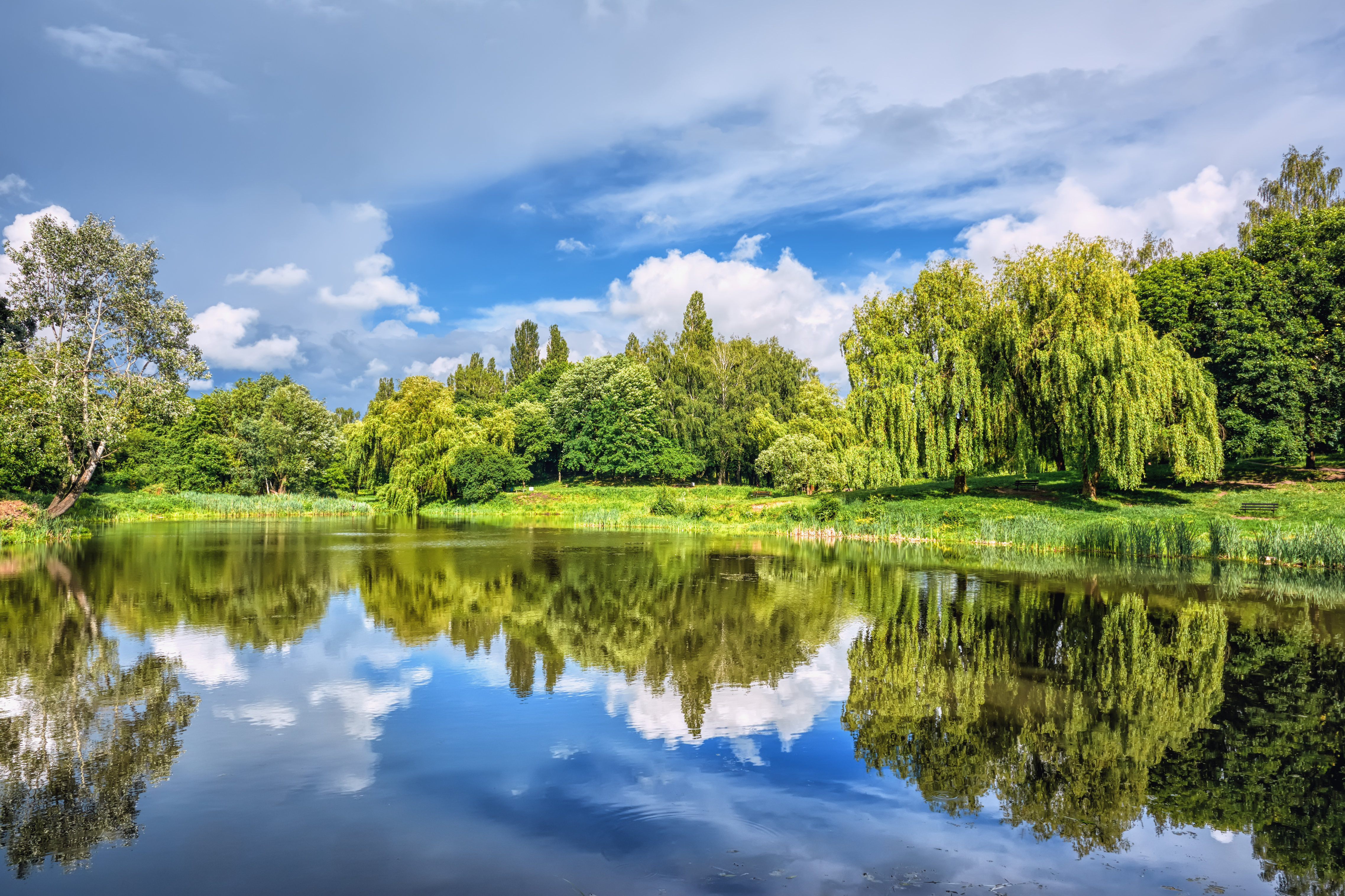 Парки та природна спадщина