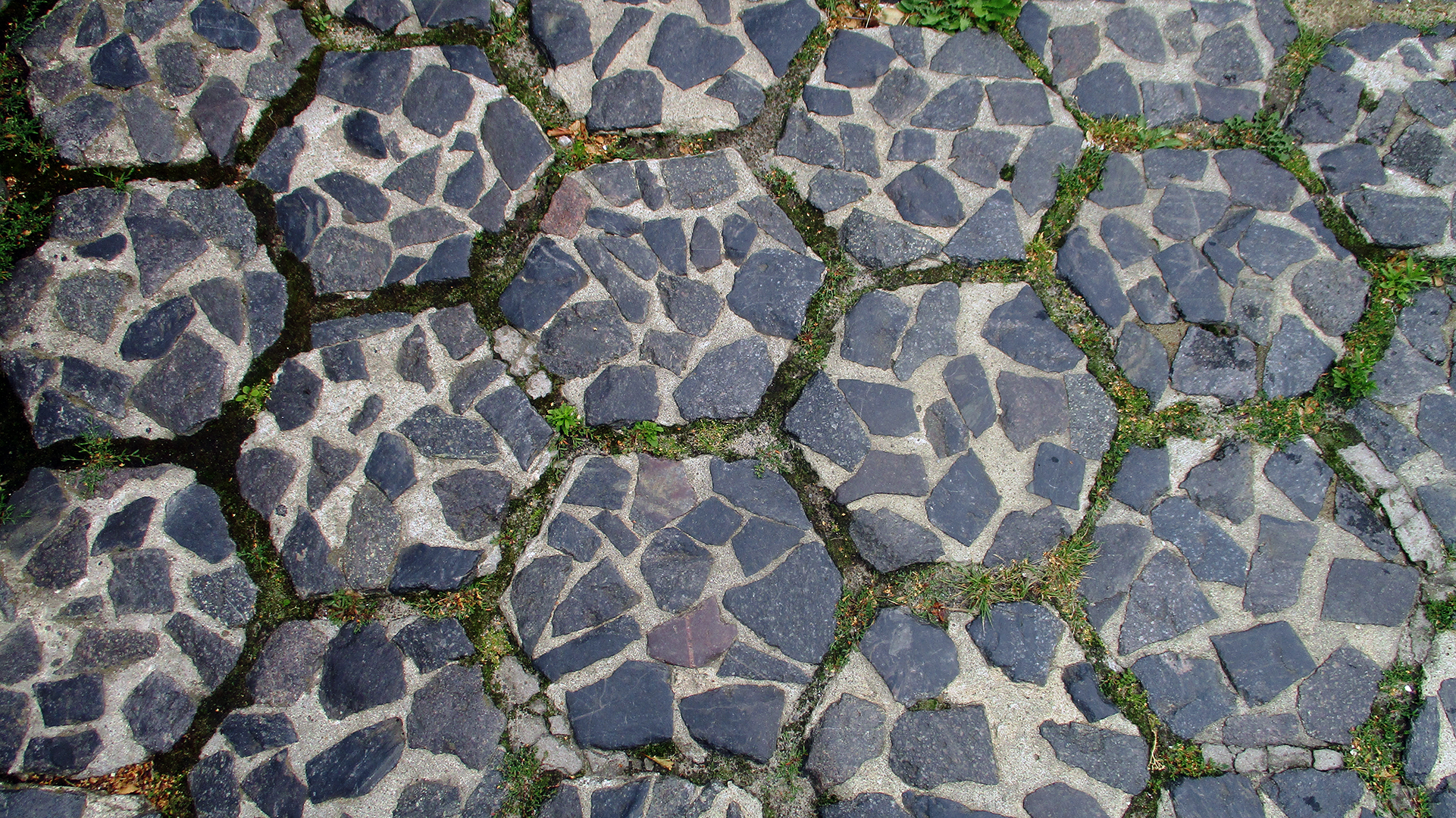 Шашка Трилінського